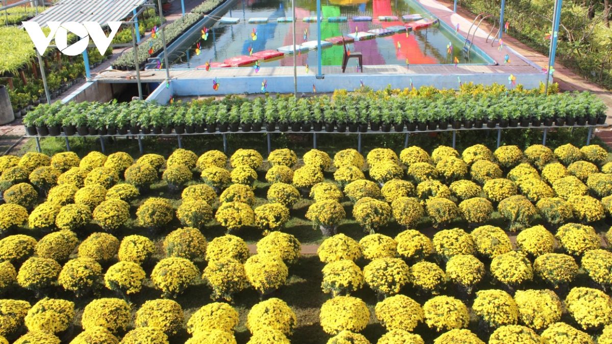 Top flower locations to visit in Dong Thap province